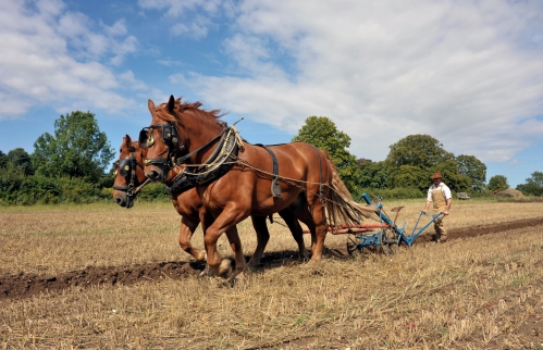 Gressenhall Farm and Workhouse 