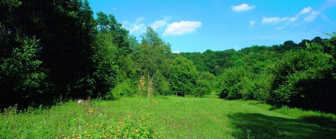 Warburg Nature Reserve