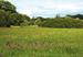 Bernwood Butterfly Trail