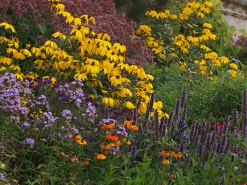The University of Oxford Botanic Garden