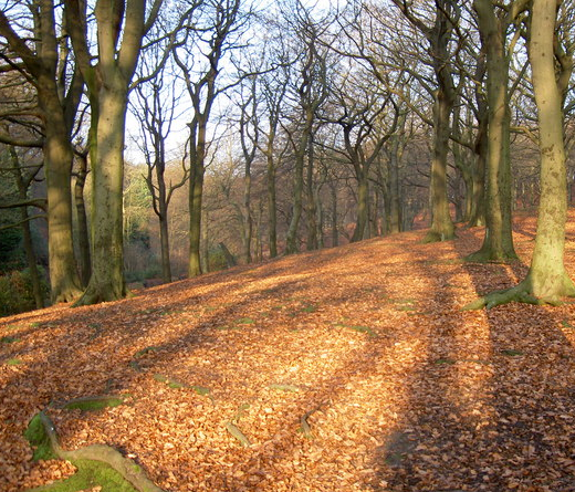 Tandle Hill Park
