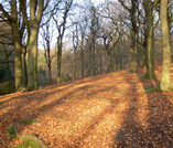 Tandle Hill Park