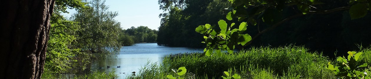 Black Park Country Park