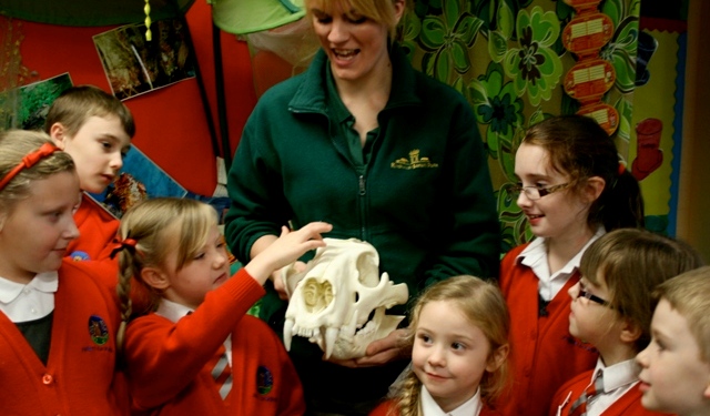 Knowsley Safari Park 