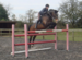 Brawlings Farm Riding Centre