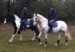Brawlings Farm Riding Centre