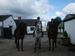 Snowball Farm Equestrian Centre