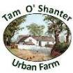 Tam OShanter Urban Farm 