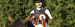 Burley Lodge Equestrian Centre