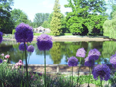 Beale Park