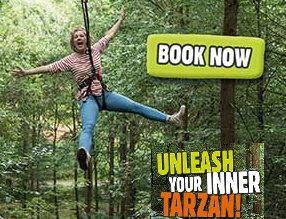 Go Ape Buxton