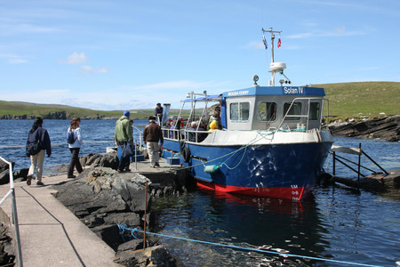 Mousa Boat Trips