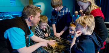 World Museum -Liverpool 