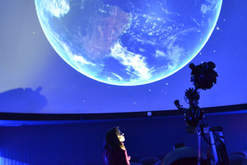 World Museum -Liverpool 