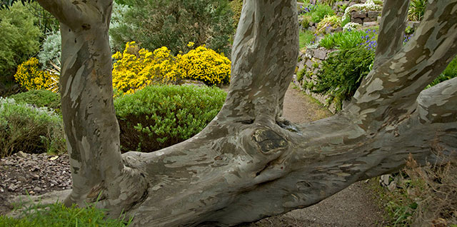 Inverewe Garden and Estate
