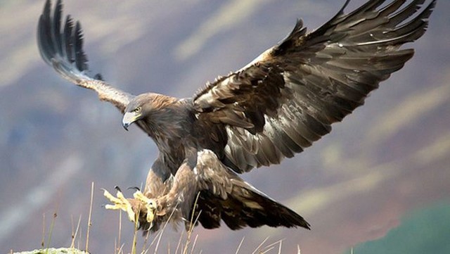 Cairngorms National Park