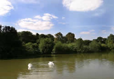 Westmorland Park