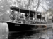 French Brothers Boats Runnymede