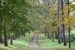 Popes Meadow