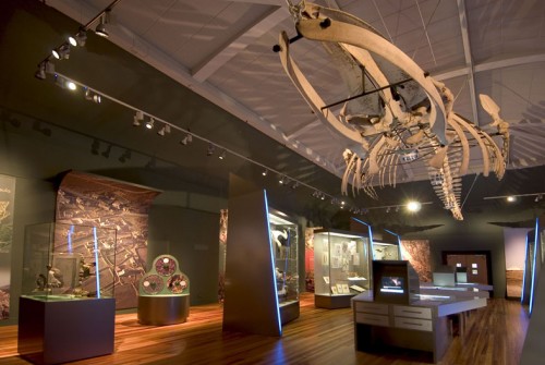 Manx Museum 