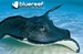 Blue Reef Aquarium Portsmouth