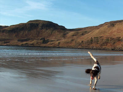 Calgary Bay