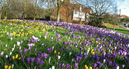 Chaddesden Park