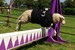 Finkley Down Farm Park