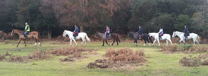 Burley Manor Riding Stables