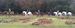 Burley Manor Riding Stables