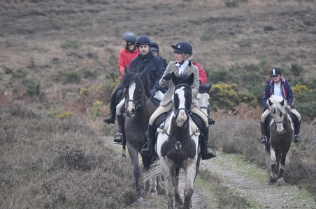 Bagnum Riding Stables