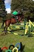 Bagnum Riding Stables