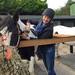 Burley Villa Riding School