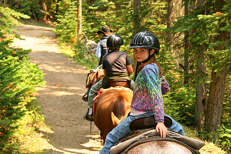 Gleneagle Equestrian Centre