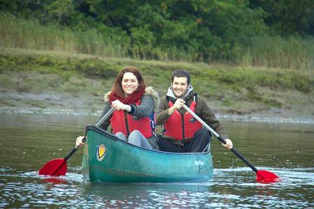 New Forest Activities