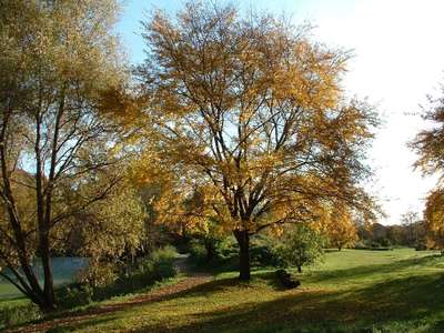 Brickfields Country Park