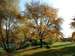 Brickfields Country Park