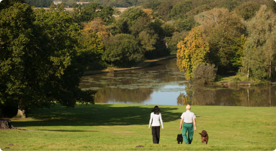 Staunton Country Park