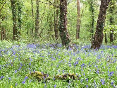 Itchen Valley Country Park