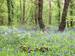 Itchen Valley Country Park