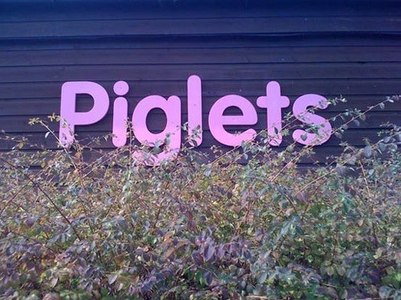 Piglets - Indoor Soft Play