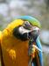 Birdworld