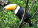 Birdworld