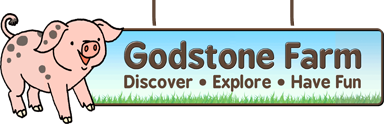 Godstone Farm