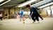 Sutton Tennis Academy