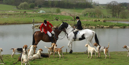 Hargate Hill Equestrian Centre