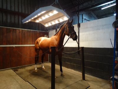 Eland Lodge Equestrian
