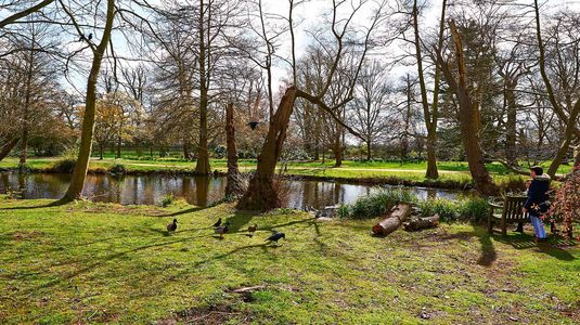 Bushy Park
