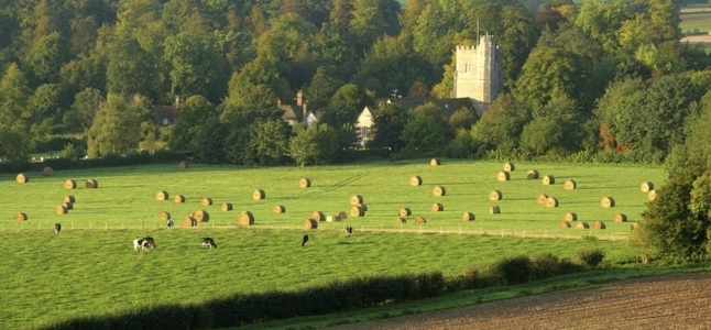 North Downs Way National Trail