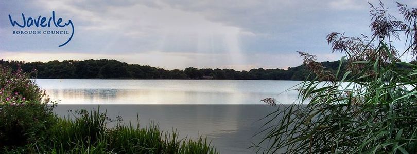 Frensham Great Pond